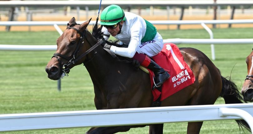 ﻿Mouffy arrives in time in $150K Perfect Sting