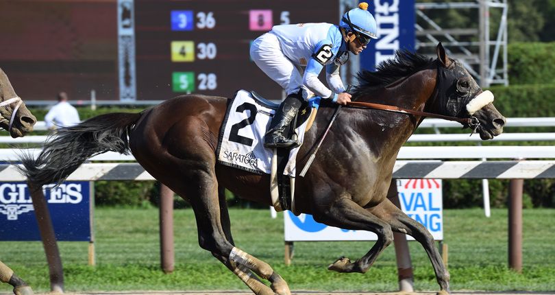 Tom's d'Etat takes on Pletcher trio in G1 Woodward | NYRA