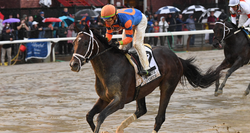 Forte to G2 Jim Dandy; Annapolis returns to Spa for G3 Kelso