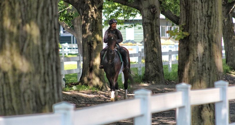 United Way Of Long Island Supports Belmont Park Backstretch Workers | NYRA